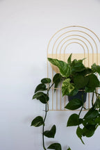 Ceramic Arches Wall Planter with Multiple Layers for Indoor Outdoor Decor, dimensions view - House Of Avana