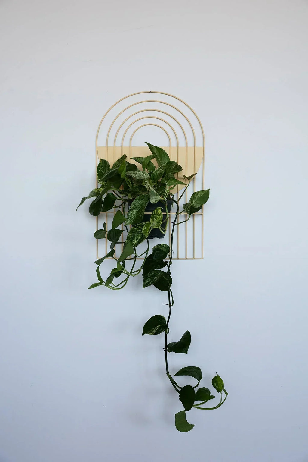 Ceramic Arches Wall Planter with Multiple Layers for Indoor Outdoor Decor, angled view - House Of Avana