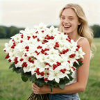 Artificial Flowers Poinsettia with Stems, White and Red Berries, product packaging - House Of Avana [[SKU:HOA-FLR-025]]