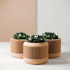Bamboo Planter Set, back view - House Of Avana