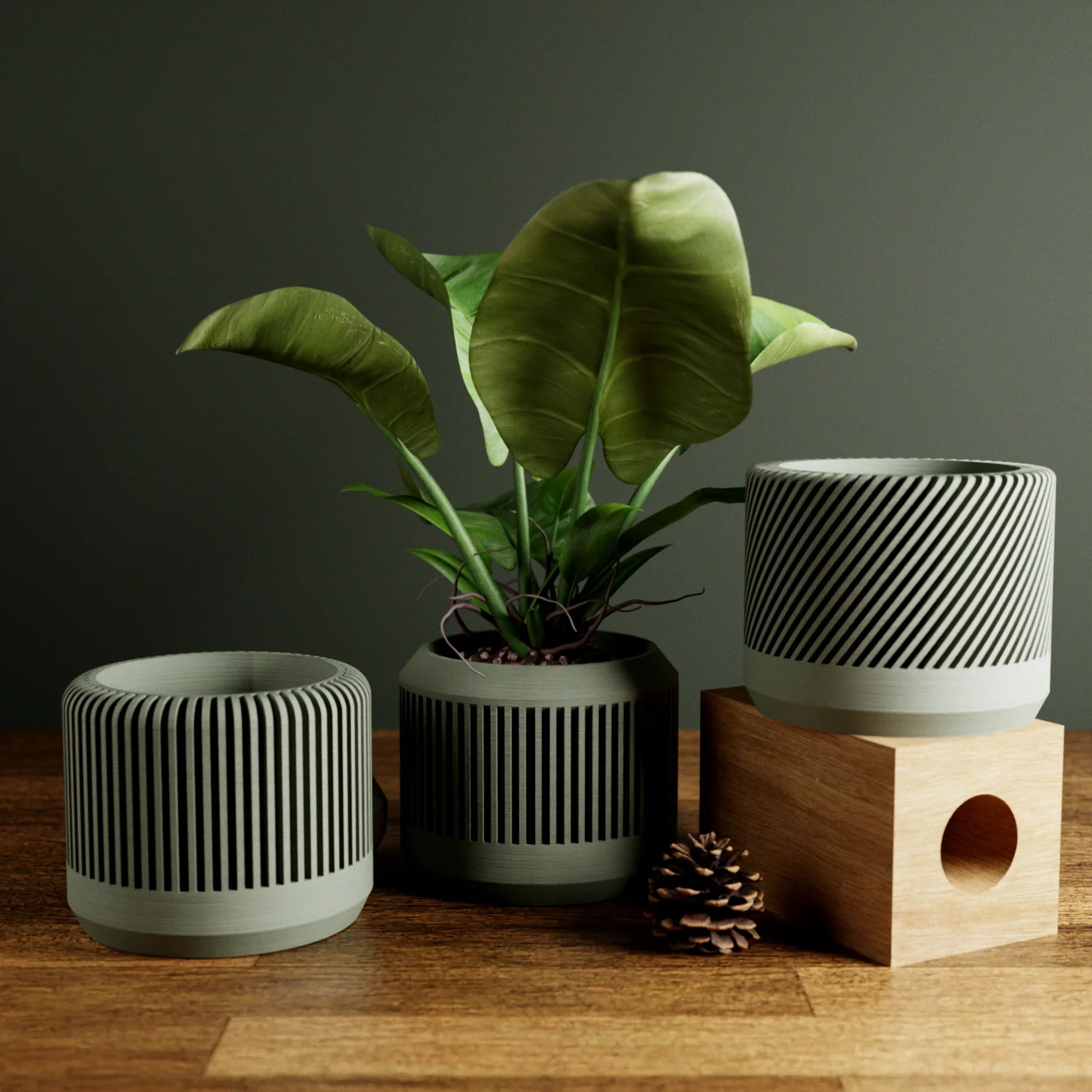 Bamboo Planter Set, side view - House Of Avana