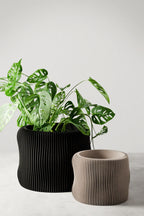 Bubbly Planter, front view - House Of Avana