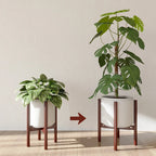 Bamboo Adjustable Plant Stand, 8-12 Inches, Reddish Brown Indoor Planter, angled view - House Of Avana [[SKU:HOA-PLN-004]]