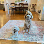 Beck Peach Washable Area Rug Hauteloom