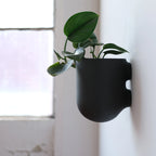 Bender Wall Planter, side view - House Of Avana