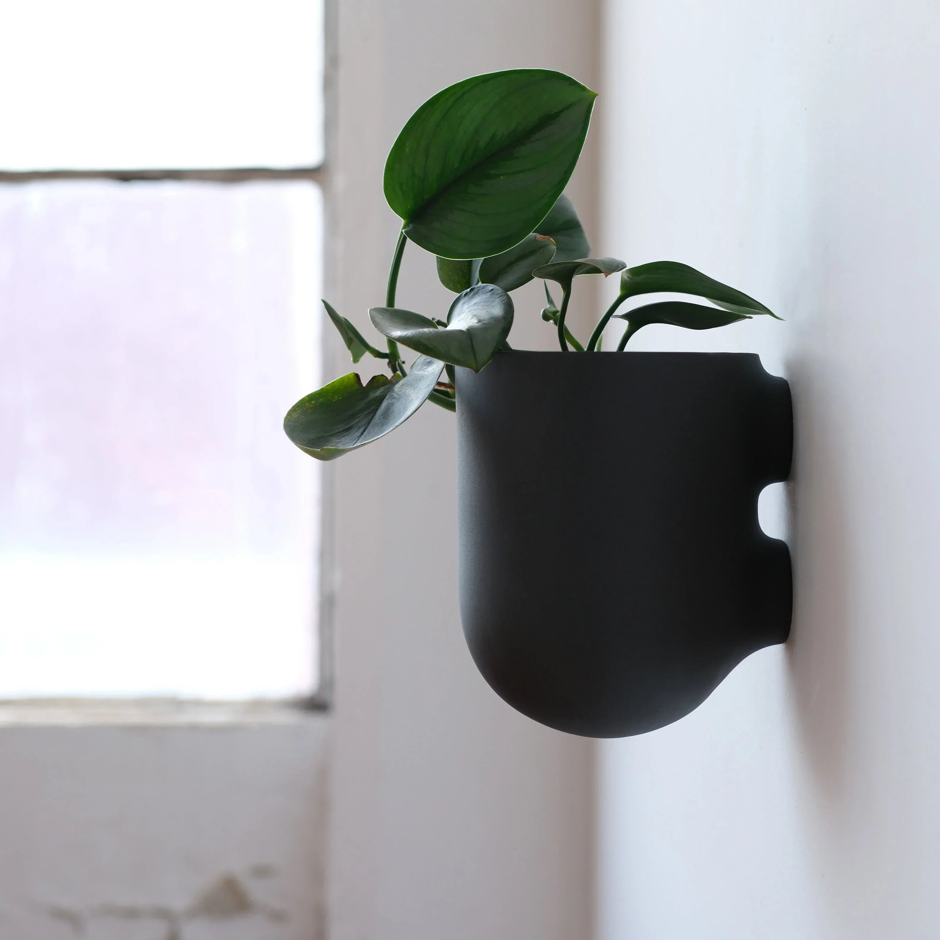 Bender Wall Planter, side view - House Of Avana