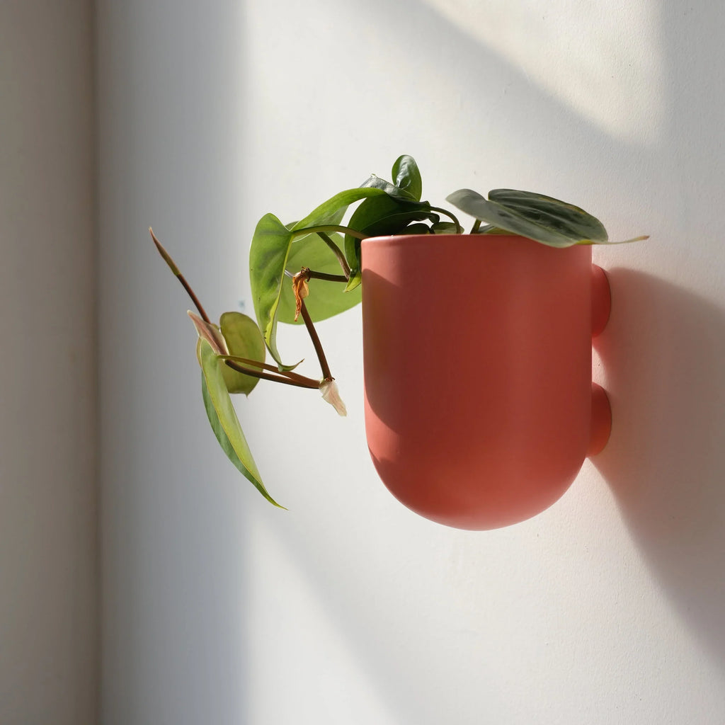 Bender Wall Planter, detail shot - House Of Avana