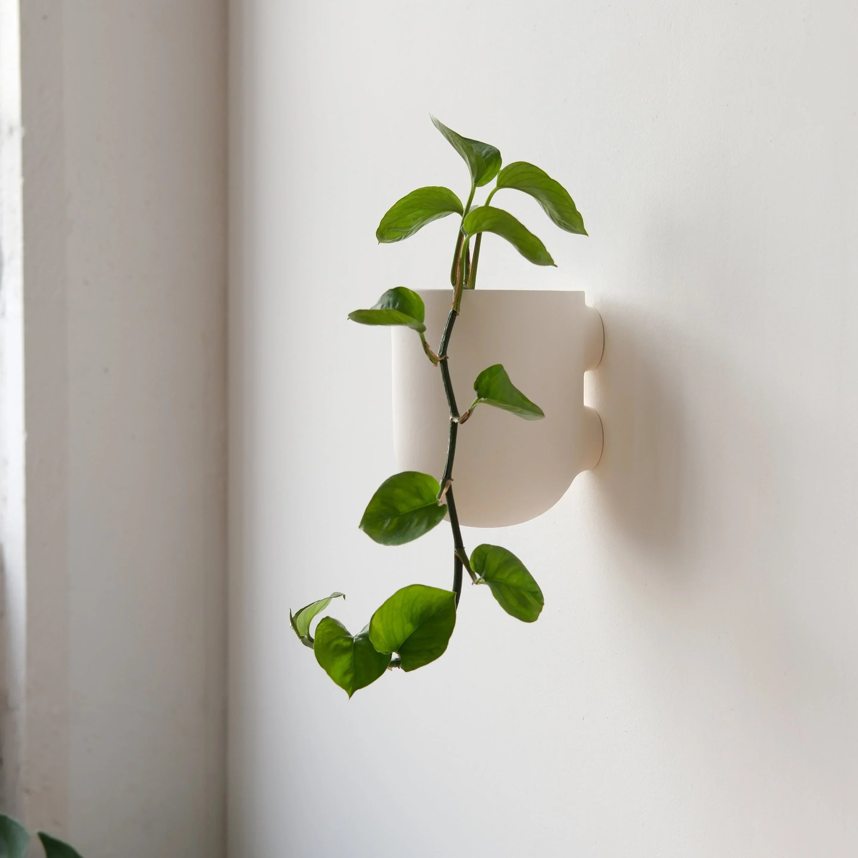 Bender Wall Planter, lifestyle image - House Of Avana