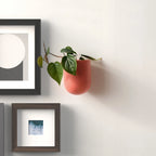 Bender Wall Planter, top view - House Of Avana