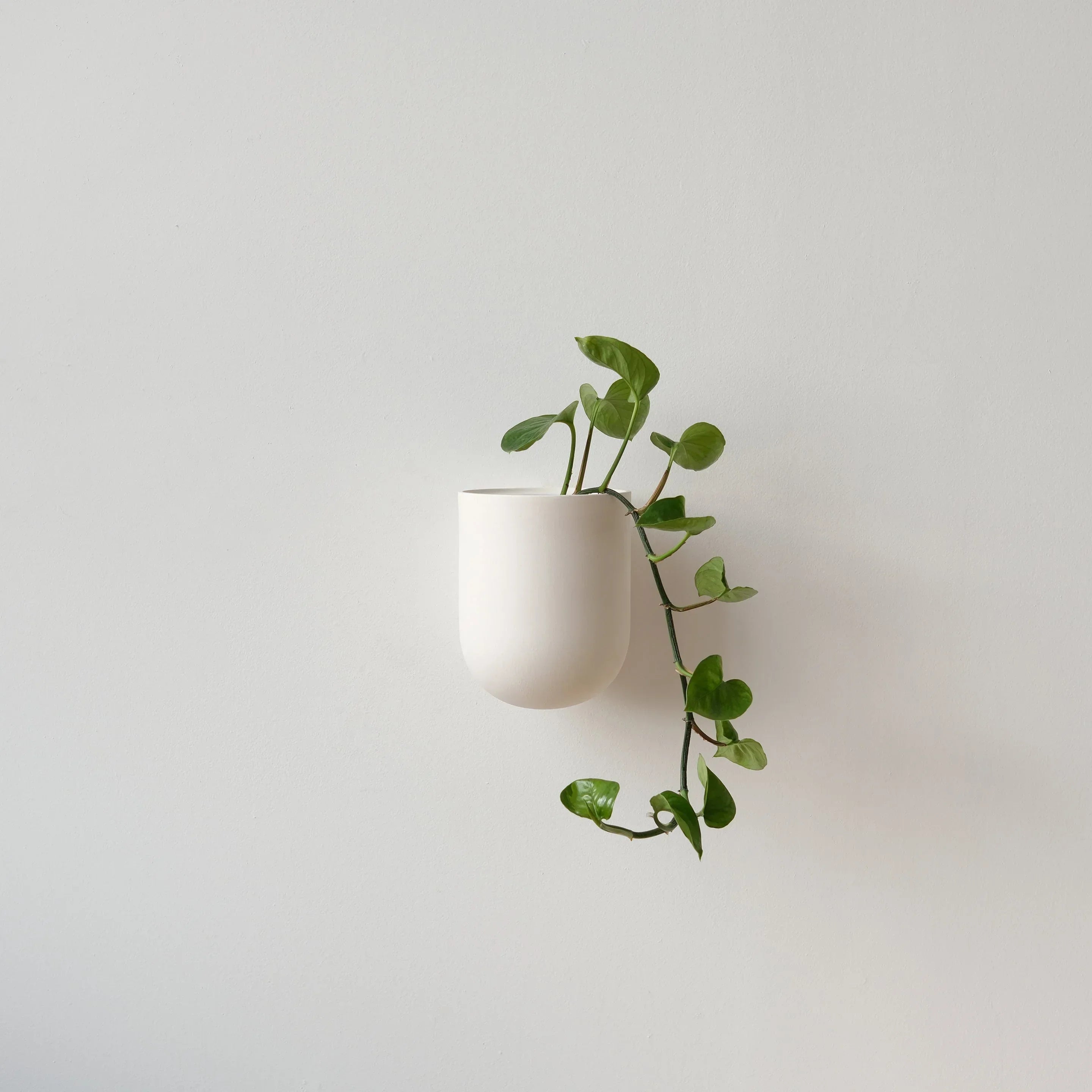 Bender Wall Planter, angled view - House Of Avana