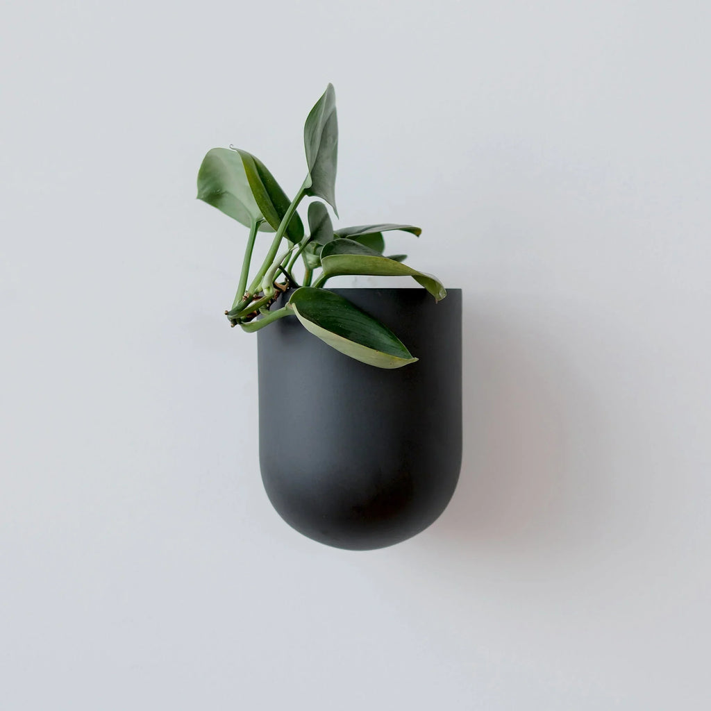 Bender Wall Planter, front view - House Of Avana