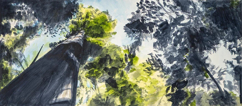 Beneath the Redwoods 2, Sonoma, Watercolor Painting, front view - House Of Avana