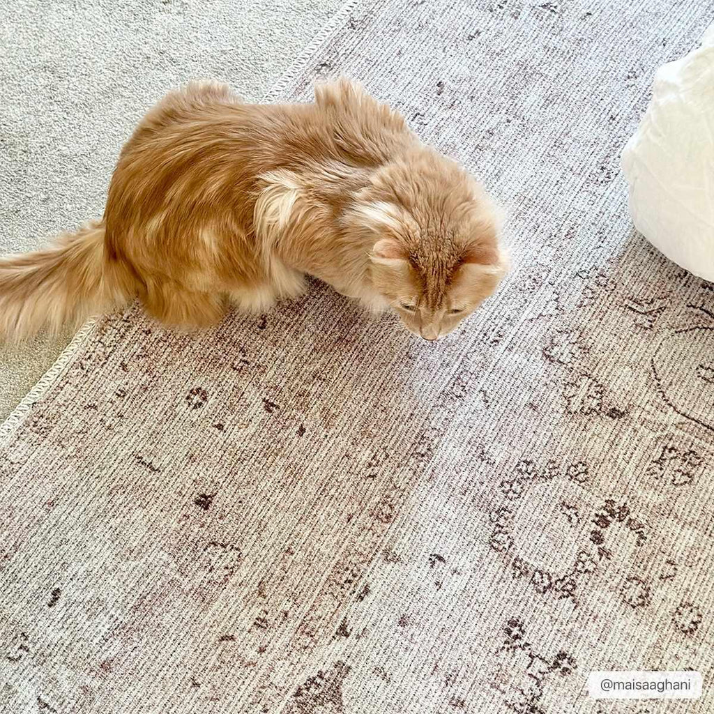 Bethany Washable Area Rug Hauteloom