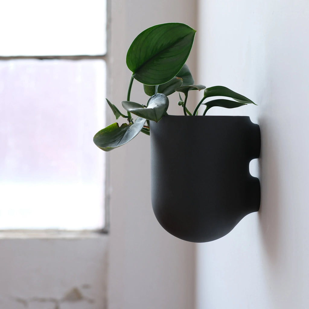 Bender Wall Planter Misewell