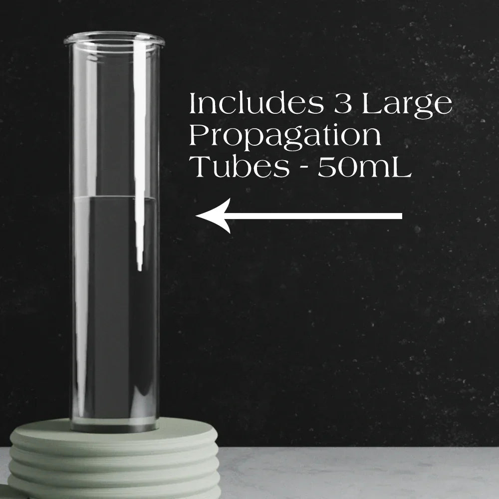 Triple Bubble Propagation Station Modernized Pottery