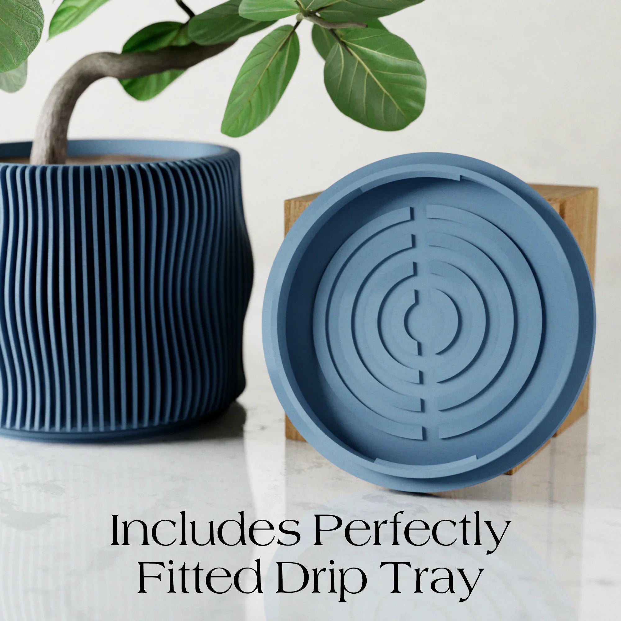 BUBBLY Planter Modernized Pottery