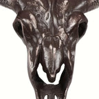 Handcrafted Bull Skull Decor with Stand, top view - House Of Avana