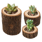 Rustic wooden mini candle holder with natural bark texture and light wood rings holding small green succulents