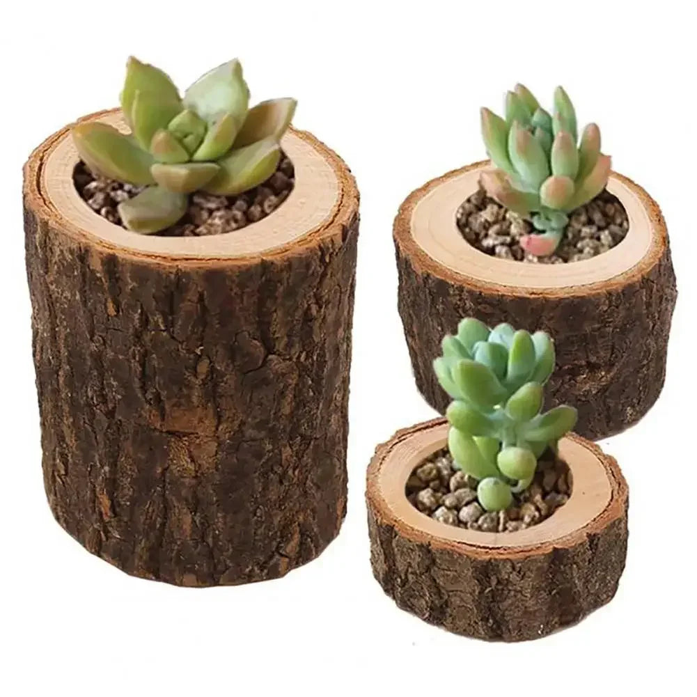 Rustic wooden mini candle holder with natural bark texture and light wood rings holding small green succulents