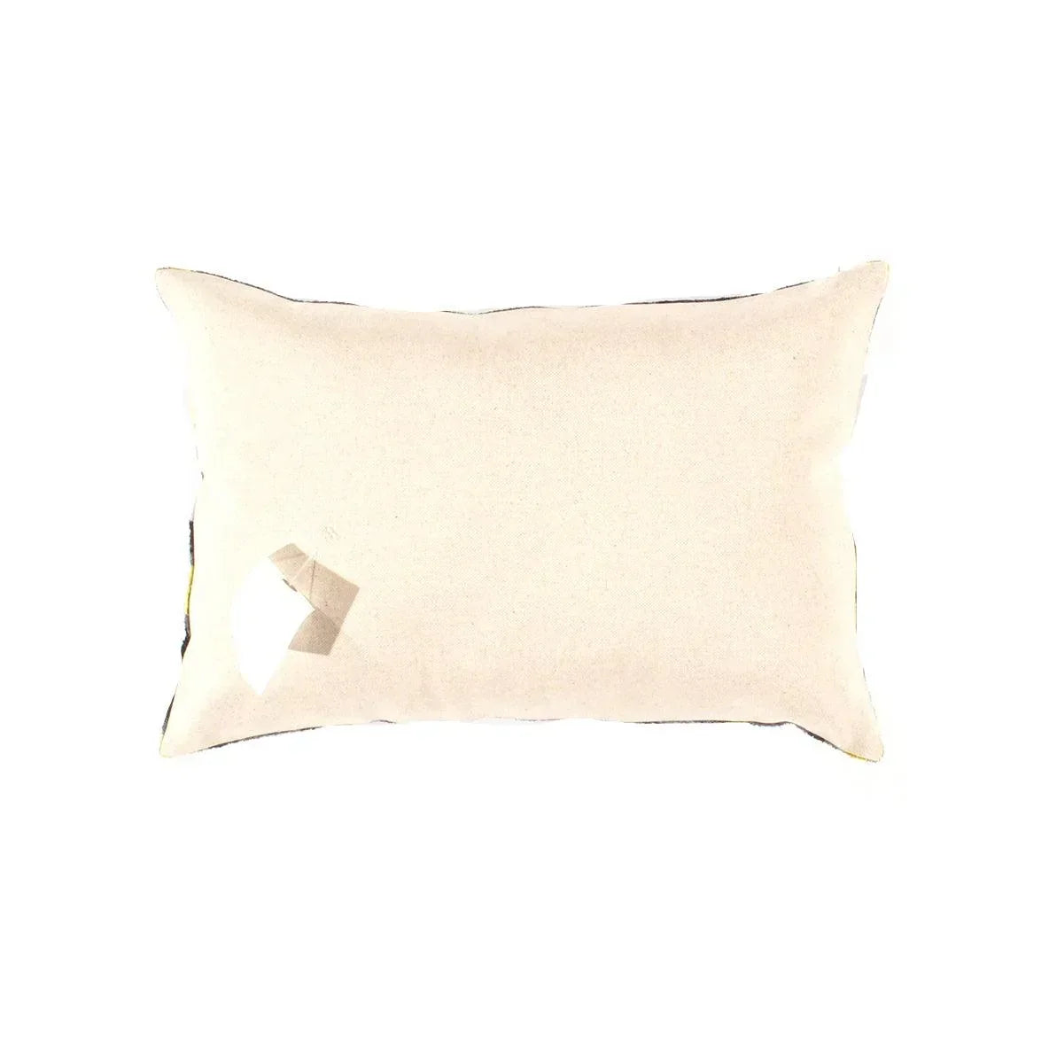 Canvello Decorative Velvet Throw Pillow - 15'' X 20'' Canvello