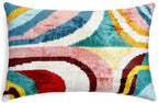 Canvello Luxury Multi Color Throw Pillows Donw Filled - 16x24 in Canvello