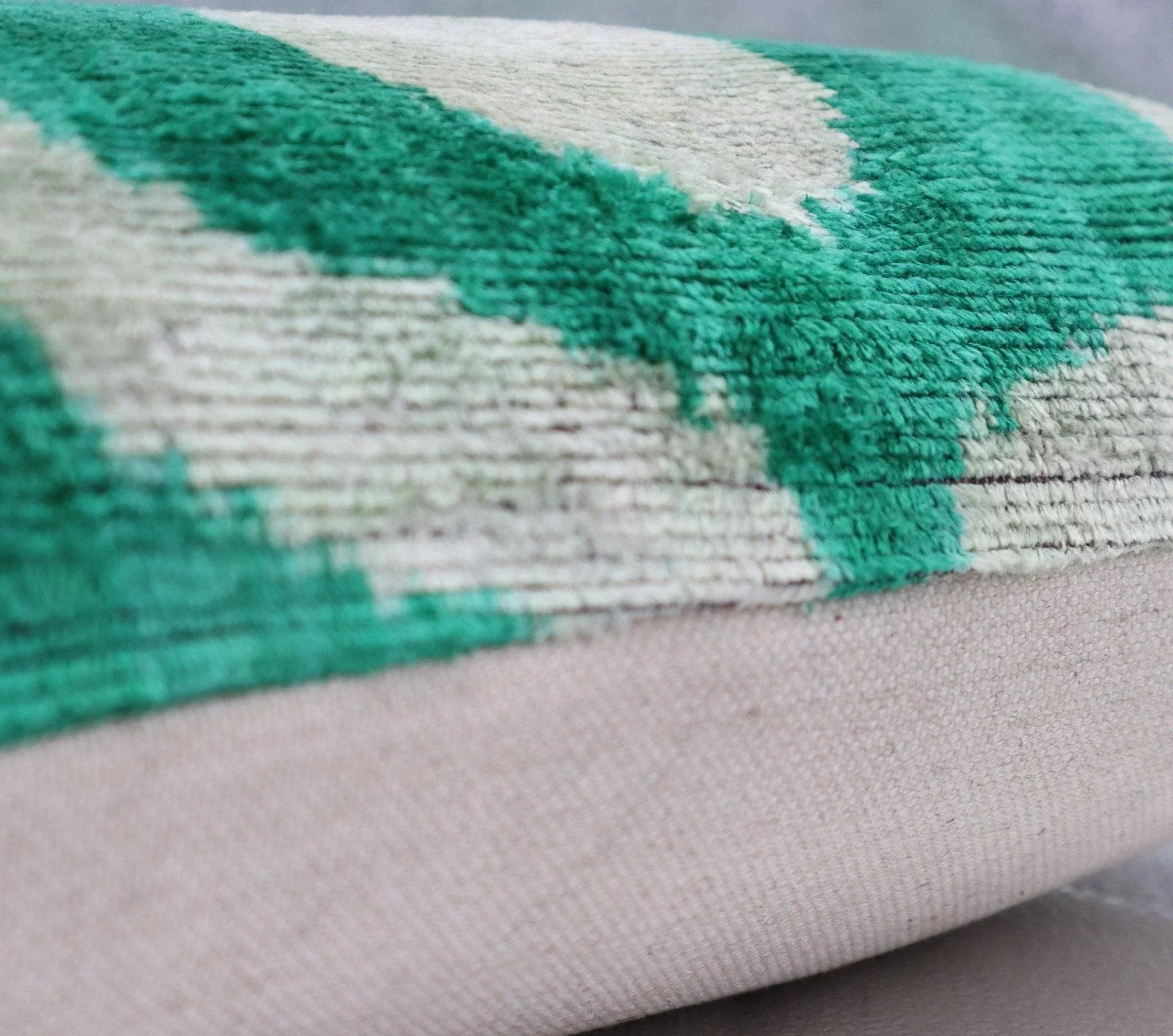 Canvello Throw Luxury Velvet Green Pillow | 16 x 16 in (40 x 40 cm) Canvello