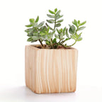 Ceramic Celebration Gift Pots - House Of Avana