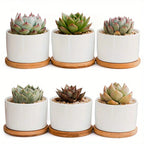 Ceramic Succulent Planter with Drainage Hole & Tray, back view - House Of Avana [[SKU:HOA-PLN-014]]