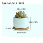 Ceramic Succulent Planter with Drainage Hole & Tray, side view - House Of Avana