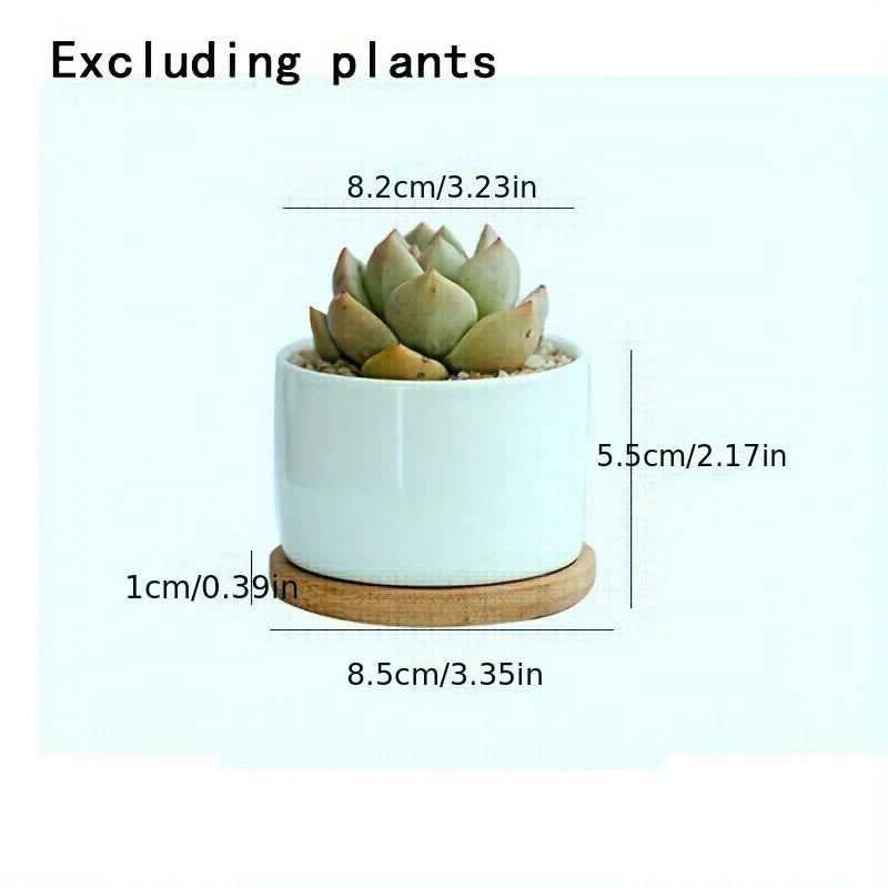 Ceramic Succulent Planter with Drainage Hole & Tray, side view - House Of Avana