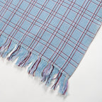 Chiapas Plaid Light Blue Kitchen Towel Archive New York