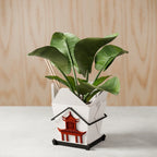 Chinese Takeout Planter, back view - House Of Avana