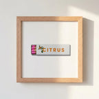 Citrus Club Framed Print