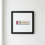 Citrus Club Framed Print