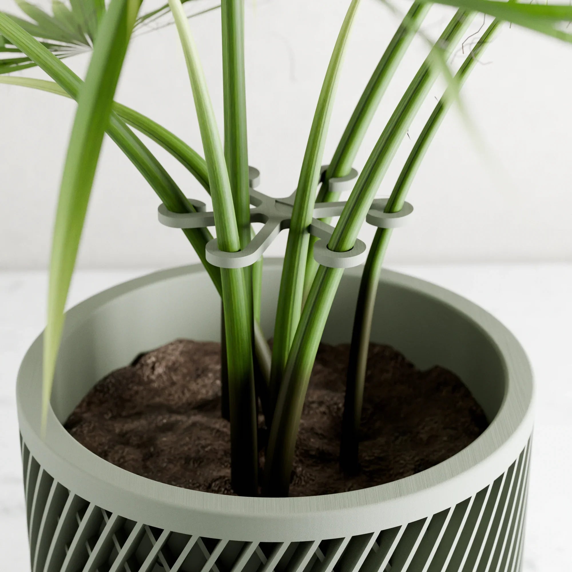 Climbing Plant Stem Support Stakes, side view - House Of Avana