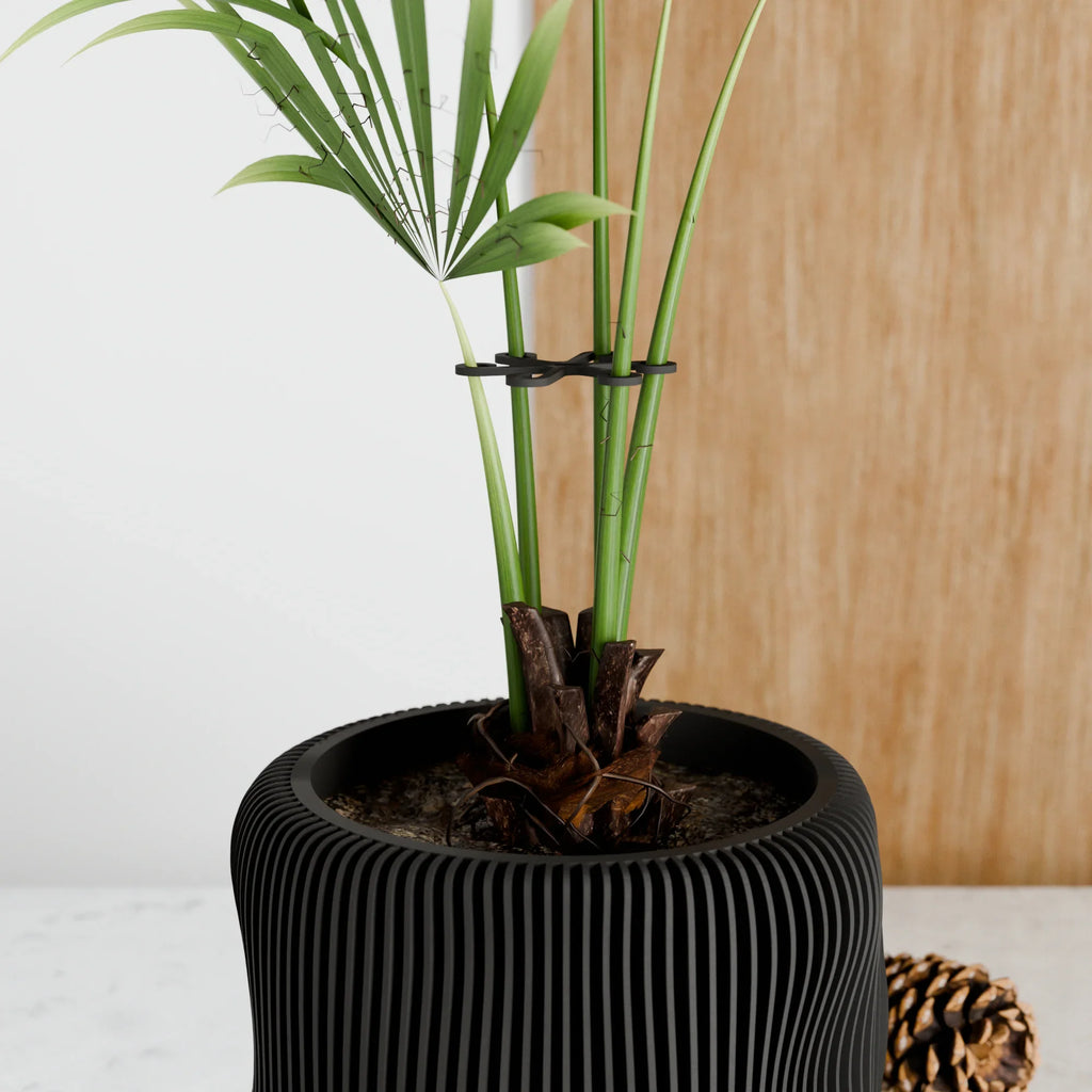 Climbing Plant Stem Support Stakes, angled view - House Of Avana