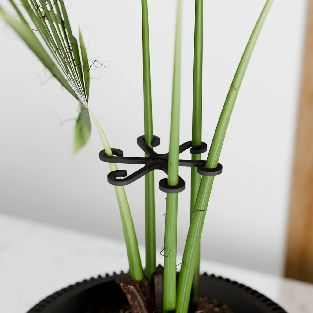 Climbing Plant Stem Support Stakes, angled view - House Of Avana