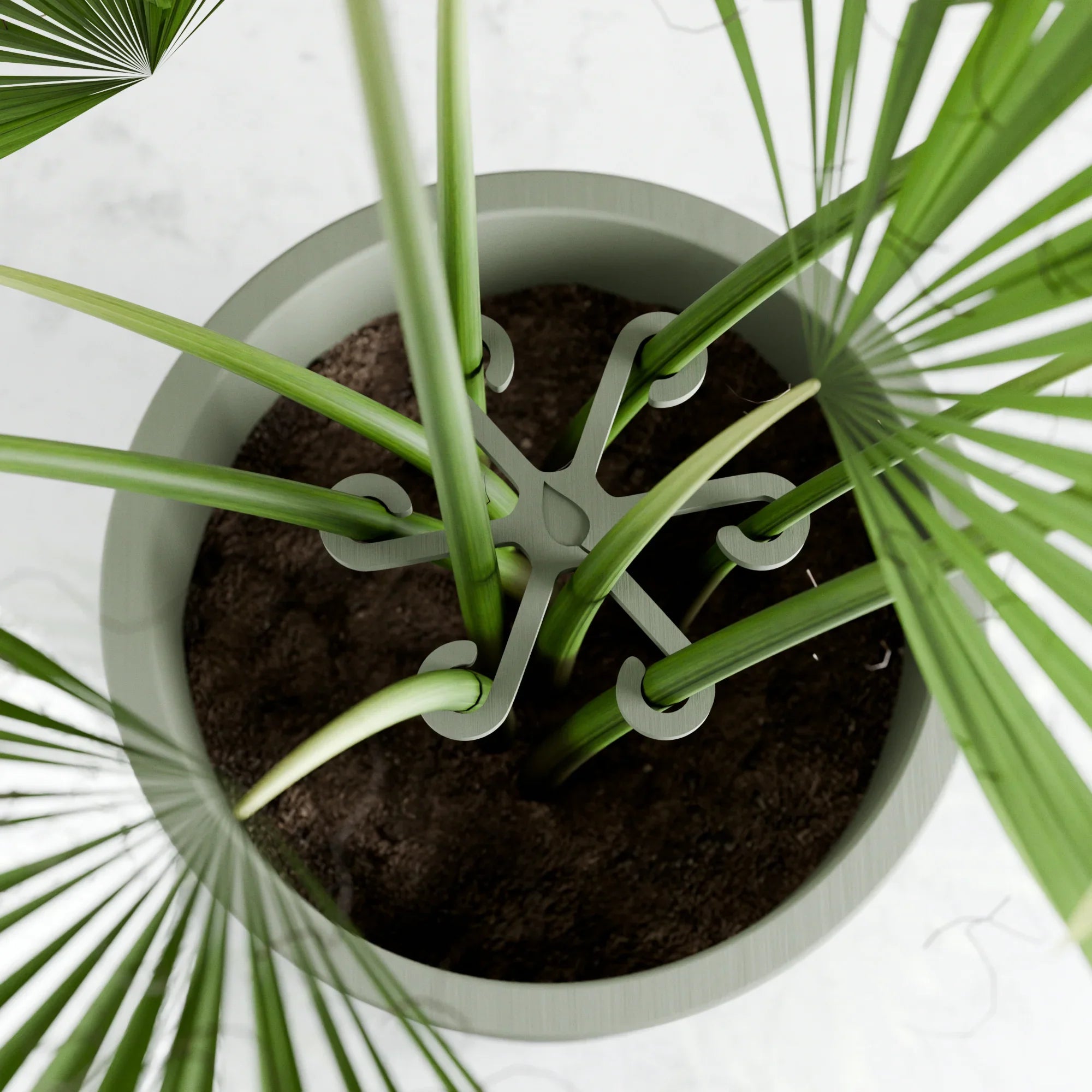 Climbing Plant Stem Support Stakes, angled view - House Of Avana
