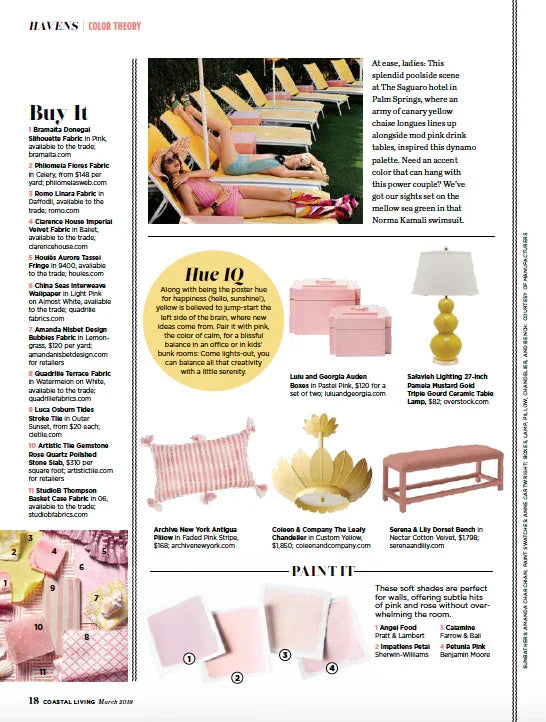 Antigua Pillow- Naturally Dyed Faded Pink Archive New York