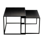 [2pcs Nordic Iron Art Tables] 2pcs Set, Minimalist Modern Nordic Iron Art Square Coffee Table and Side Tables for Living Room or Bedroom House Of Avana [[SKU:HOA-COF-012]]