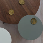 Conrad Coffee Table Misewell
