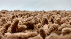 DaDa Bedding Coffee Brown Shaggy Soft Chenille Noodle Carpet Rug Bath Mat DaDalogy Bedding Collection