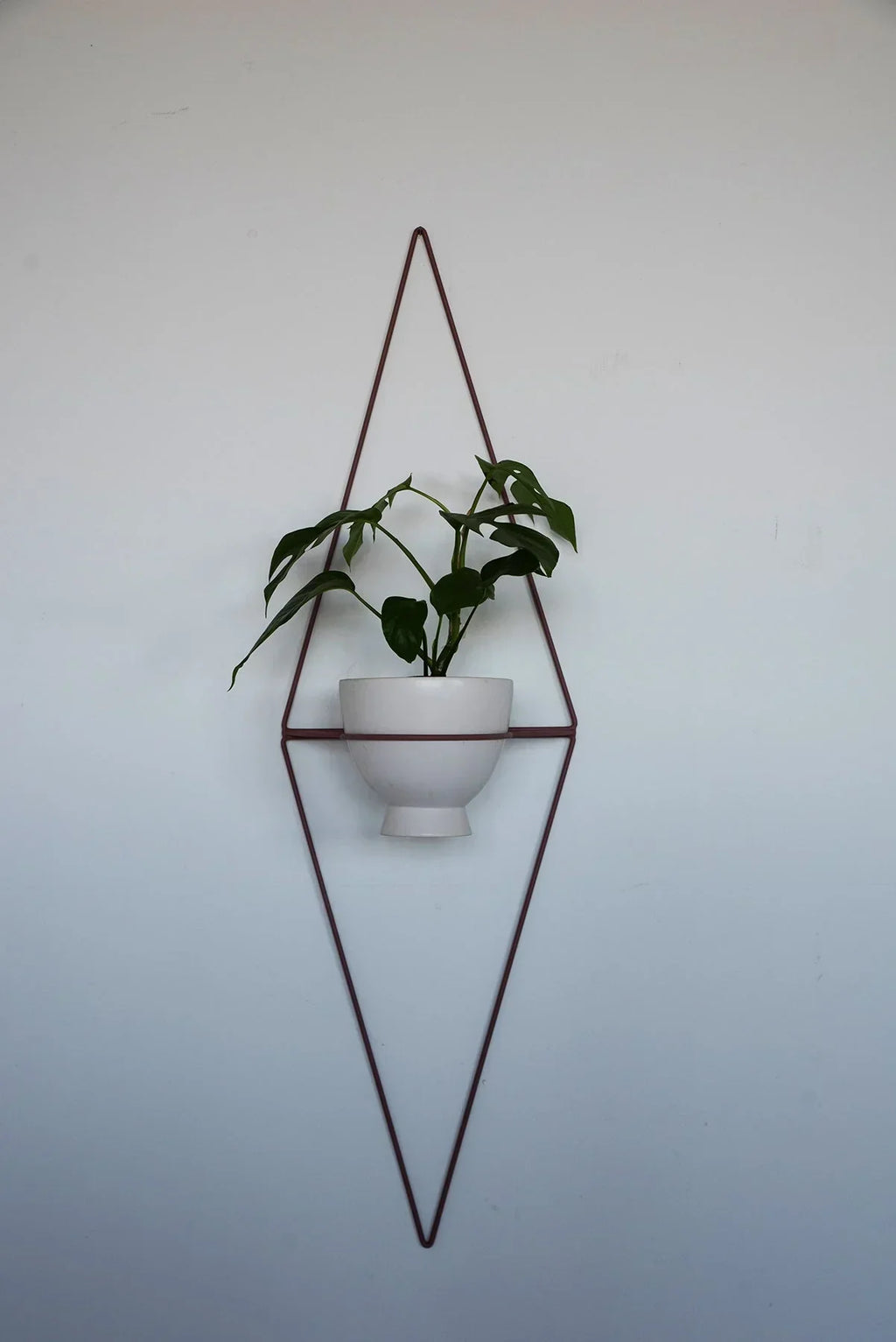 Diamond Wall Planter with Eye Design and Hanging Feature, product packaging - House Of Avana