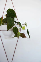 Diamond Wall Planter with Eye Design and Hanging Feature, angled view - House Of Avana