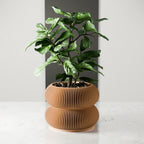 Double Bubbles Planter, back view - House Of Avana