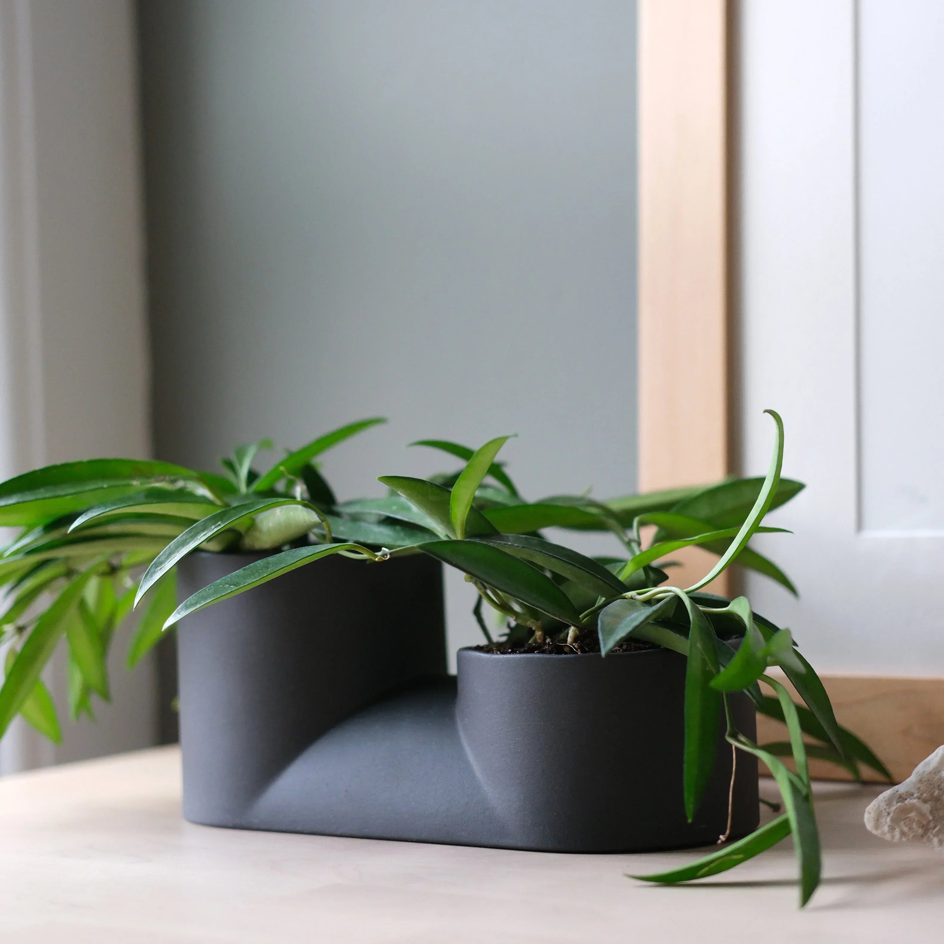 Double Planter Misewell