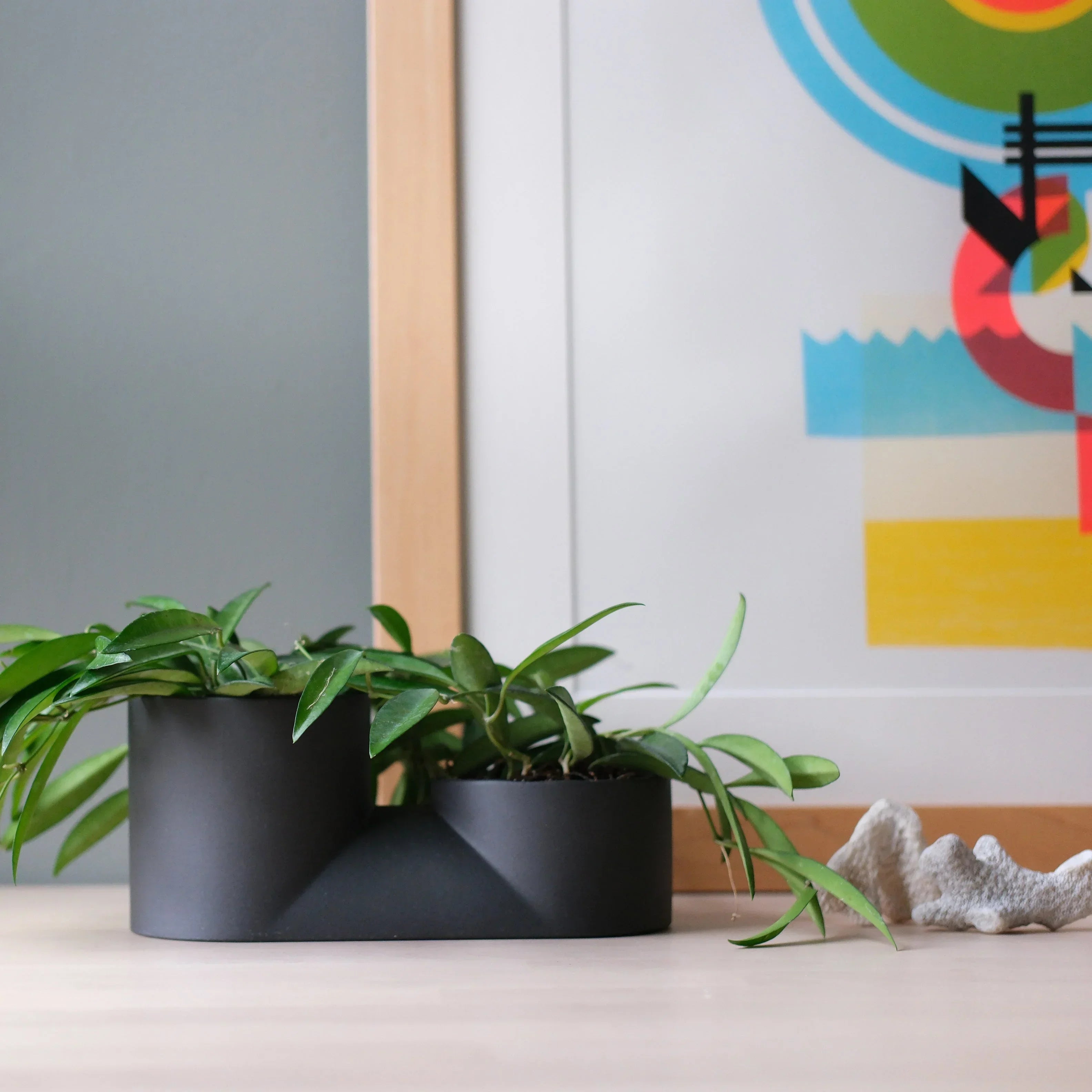 Double Planter Misewell
