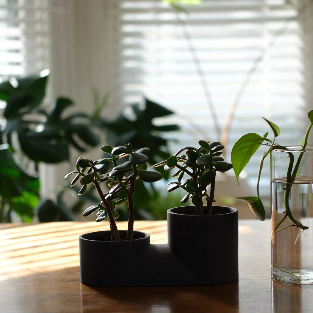 Double Planter Misewell