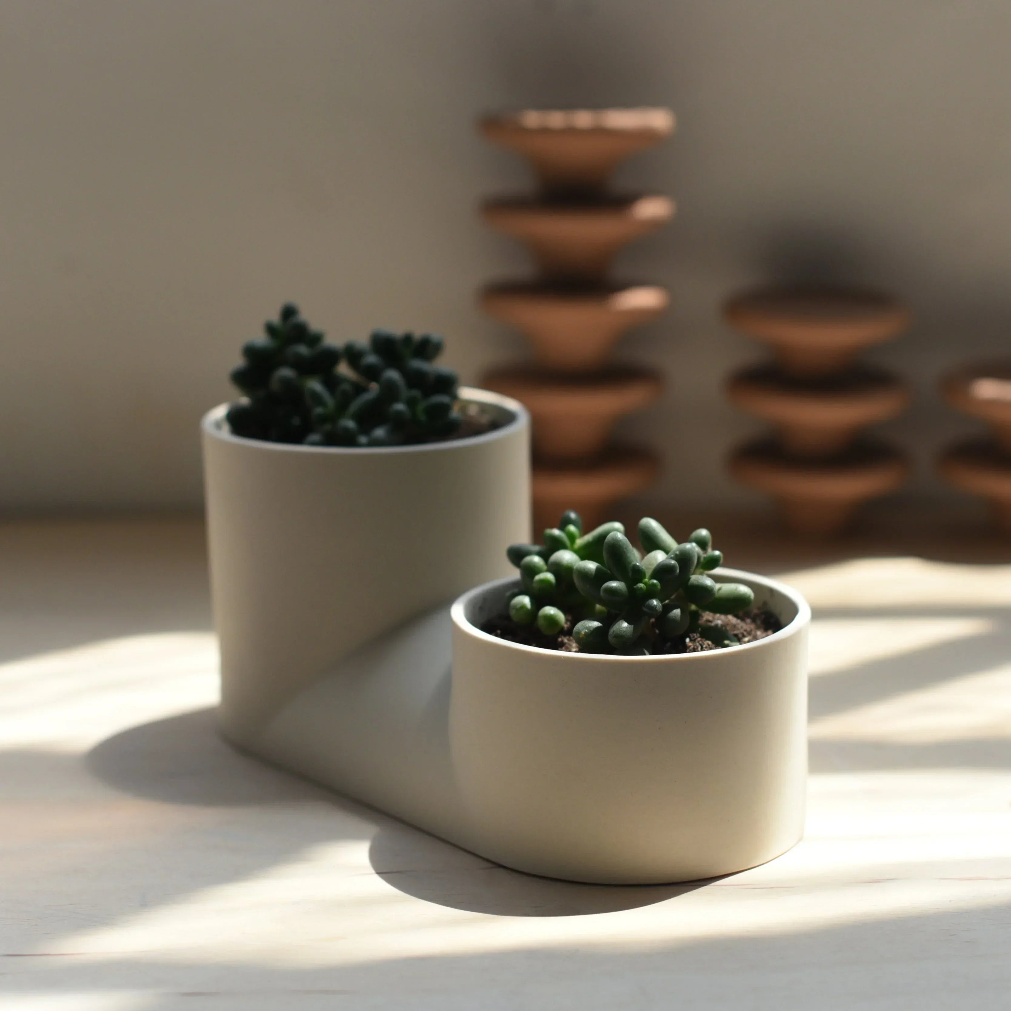 Double Planter Misewell