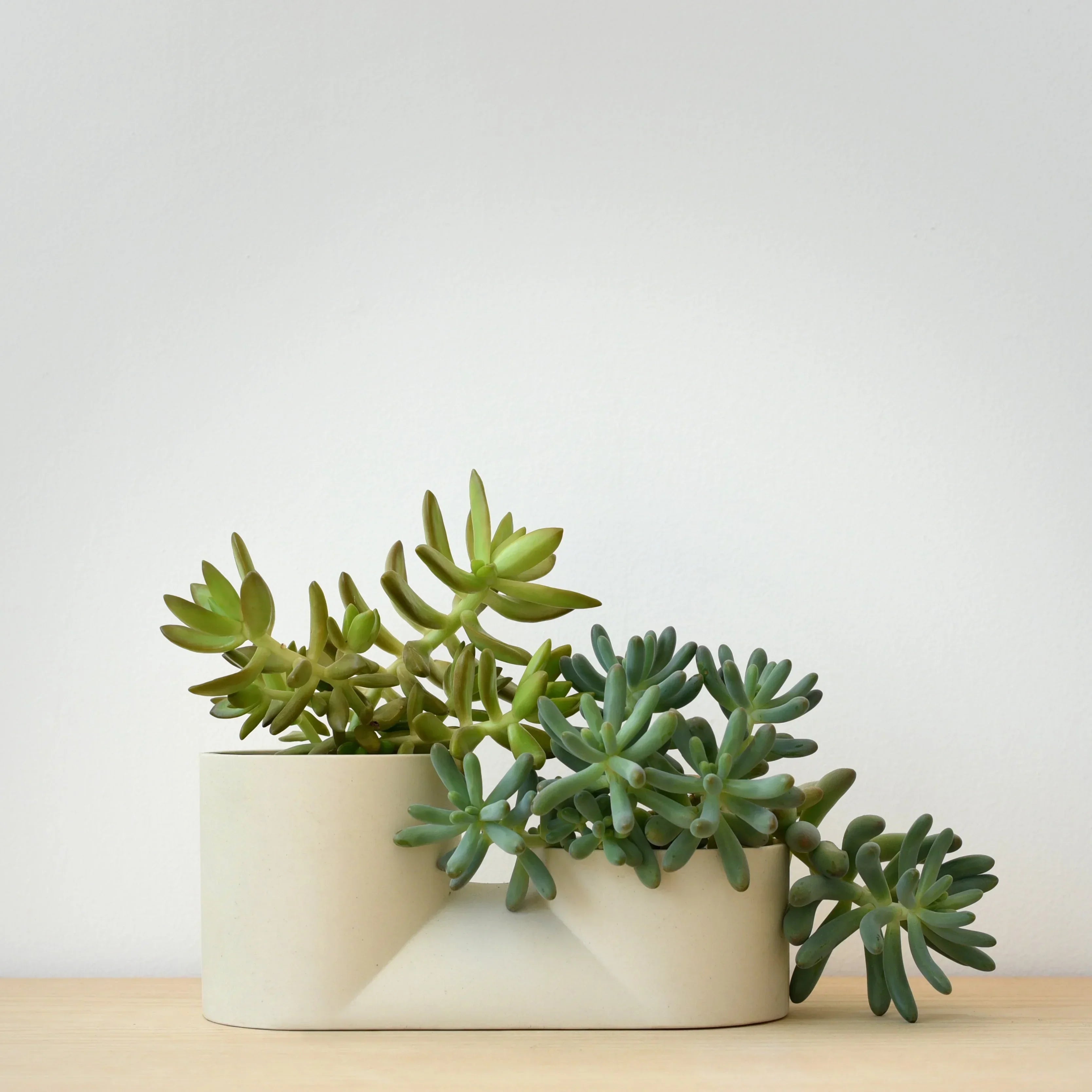 Double Planter Misewell
